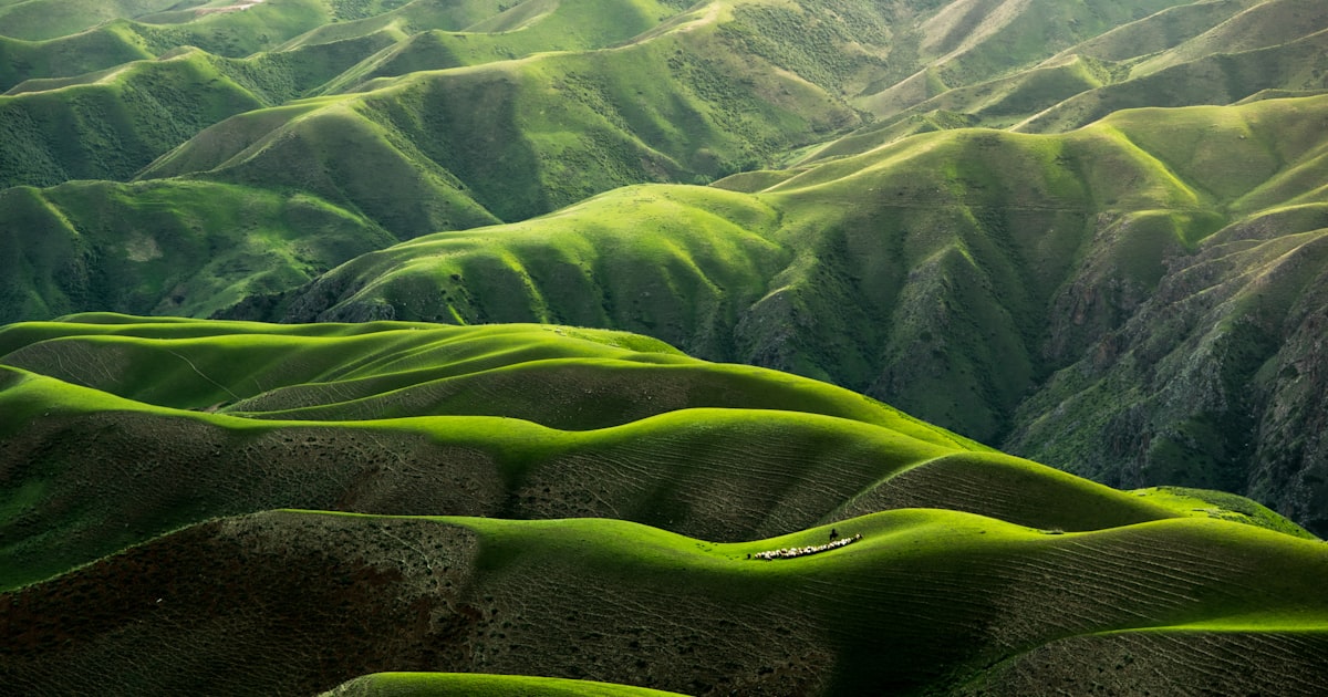 Beneficios medioambientales de la energía solar