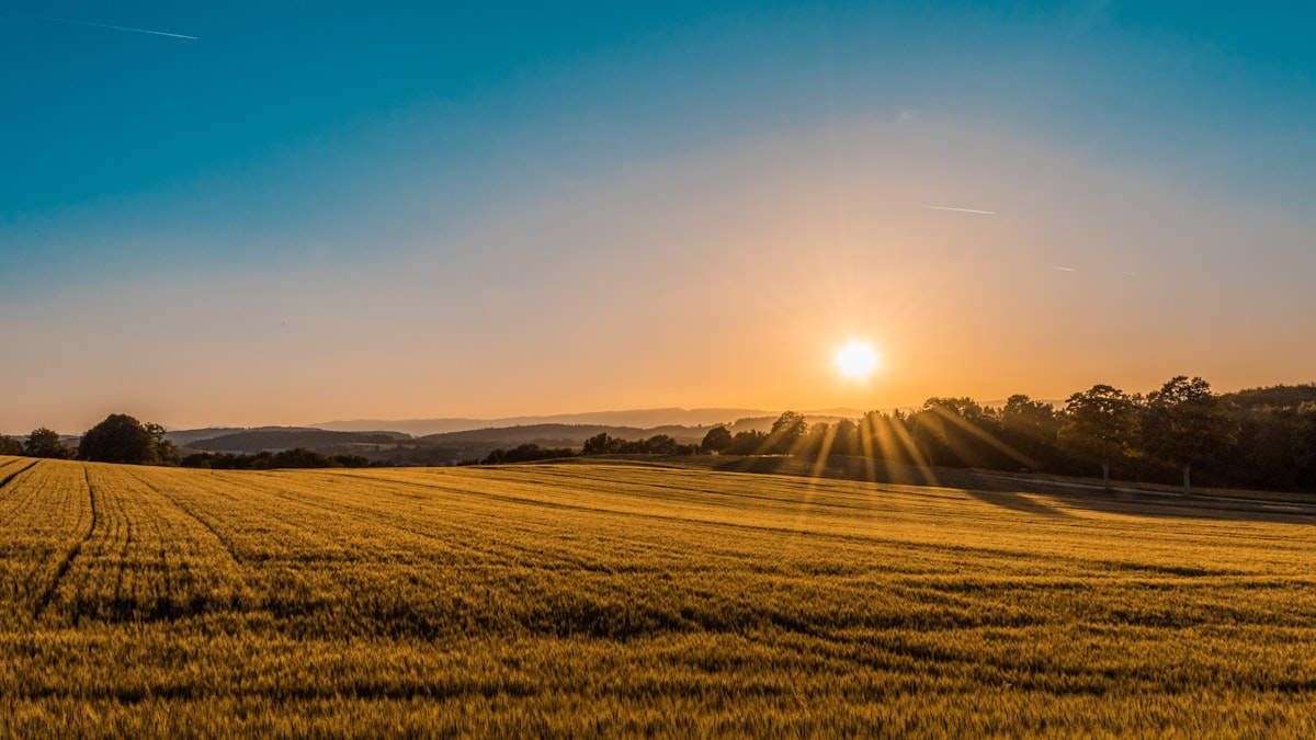 Energía solar para el campo agropecuario Córdoba